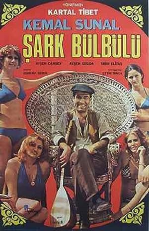 Şark Bülbülü izle